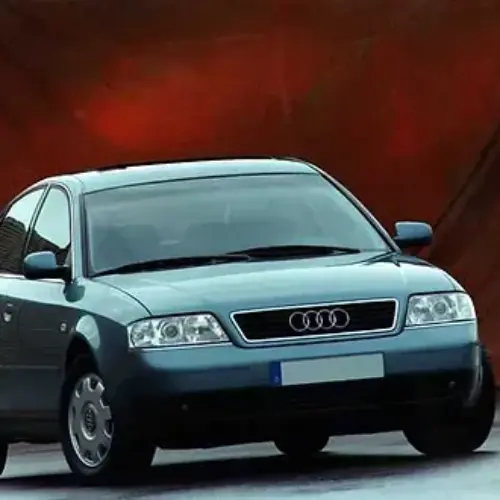 Coppia di ammortizzatori posteriori Audi A6 1997-2005