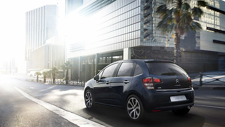 Coppia di ammortizzatori posteriori Citroen C3 2009-2017