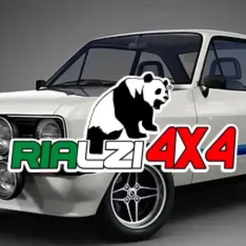 Ammortizzatori posteriori Ford Escort da 80-83