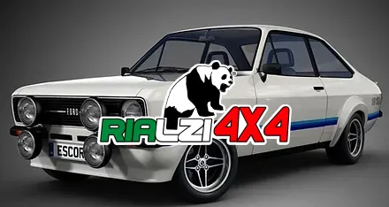 Ammortizzatori posteriori Ford Escort da 80-83