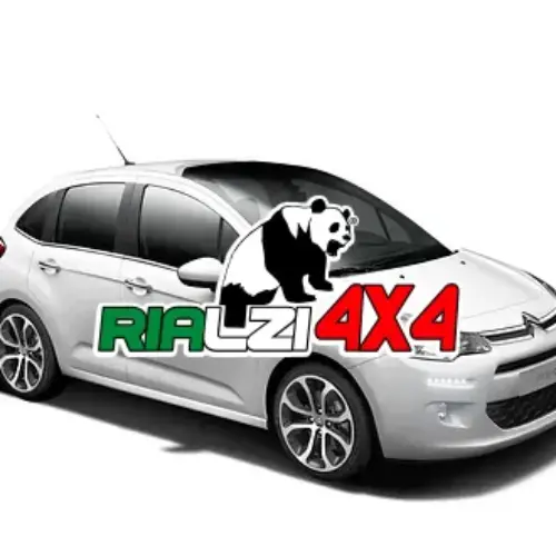 Ammortizzatori posteriori Citroen C3 da 2002