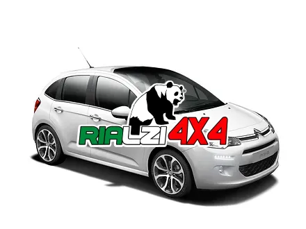 Ammortizzatori anteriori Citroen C3 da 2002