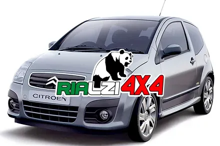 Ammortizzatori posteriori Citroen C2 da 2003