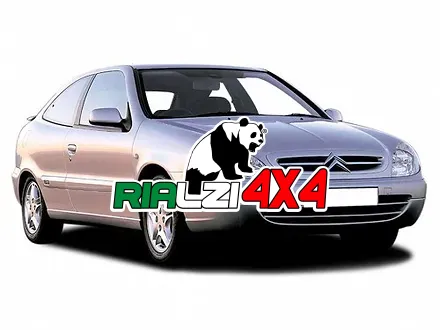 Ammortizzatori anteriori Citroen XSARA da 1997