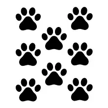 Adesivo impronte gatto