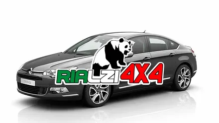 Ammortizzatori anteriori Citroen C5 da 2001