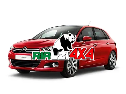 Ammortizzatori anteriori Citroen C4 (LA-LC) da 2004